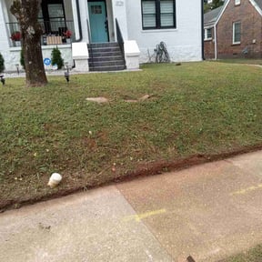 Leaf Removal by TNT landscaping &amp; Lawncare llc reviewed on September 22, 2025