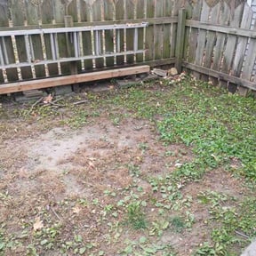 Leaf Removal by Twalight Scaping reviewed on November 22, 2025