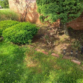 Flower Bed Weeding by Lee bee’s lawn maintenance reviewed on May 27, 2026