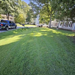 lawn maintenance by Helping Hands Lawncare Service reviewed on March 9, 2024