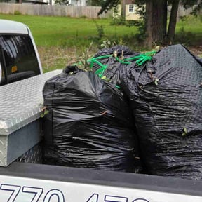 Bush Trimming by Pristine Outdoor Services llc reviewed on June 11, 2026