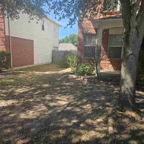 Leaf Removal by We mowing lawn care reviewed on September 3, 2026
