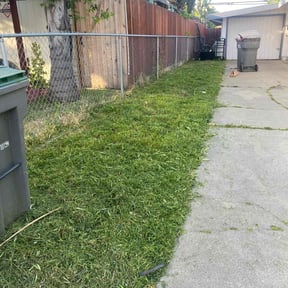 lawn service by Xtreme Klean Pressure washing & Cuts reviewed on July 29, 2023