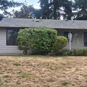 Bush Trimming by Gregs Lawncare reviewed on July 21, 2026
