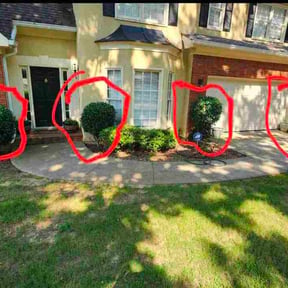 Bush Trimming by Chosen Cut Lawncare reviewed on June 28, 2026