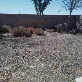 Leaf Removal by Js Lawn Care reviewed on December 3, 2024