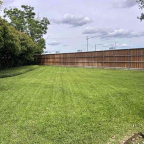 yard care by D&L Landscaping and Snow Removal L.L.C reviewed on August 13, 2025