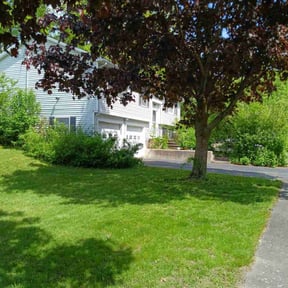 grass cutting by Janet Breeden reviewed on August 19, 2025