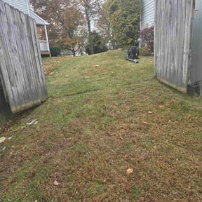 Leaf Removal by Jones Family Firewood services reviewed on October 19, 2025