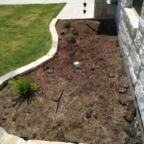 Flower Bed Weeding by Rosa reviewed on October 21, 2025