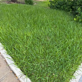 yard maintenance by Ken's Lawncare reviewed on August 16, 2025