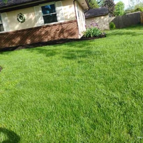 Mulching by CM Landscape reviewed on August 13, 2025