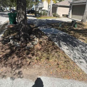 Leaf Removal by 365 All Seasons Maintenance reviewed on April 19, 2026