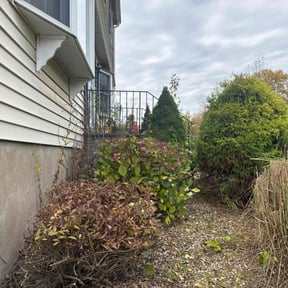 Bush Trimming by Alvarado&#039;s Lawn Care reviewed on October 19, 2025