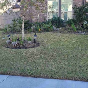 Flower Bed Weeding by Daniel&#039;s lawn care service LLC reviewed on November 23, 2025