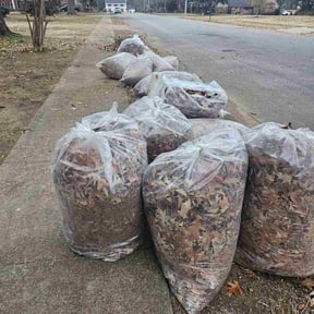 Leaf Removal by Polaris Landscaping reviewed on July 20, 2026