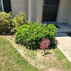 Bush Trimming by Brian Lienhart reviewed on April 27, 2019