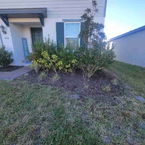 Flower Bed Weeding by Amayas lawn services reviewed on July 25, 2026