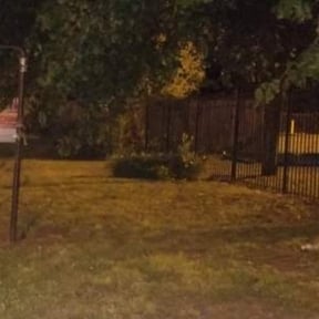 Bush Trimming by Self-Develope Services reviewed on November 19, 2025