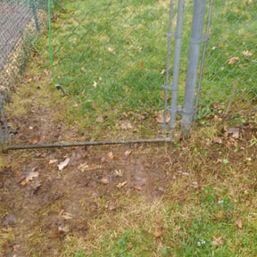 Leaf Removal by Adam Wisdom reviewed on September 24, 2025