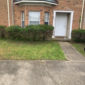 Bush Trimming by Majestic Construction LLC reviewed on August 16, 2025