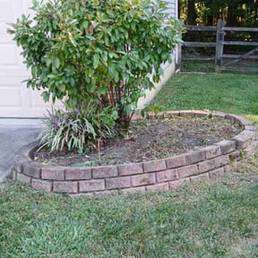 Bush Trimming by Top Lawn Companies, LLC reviewed on August 13, 2025
