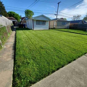 turf care by Native Landscapes Of Central Florida LLC reviewed on May 14, 2024