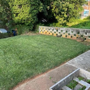Bush Trimming by Thorn City Maintenance reviewed on August 18, 2025