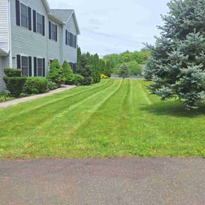 landscaping by Justin Mundell reviewed on August 20, 2025