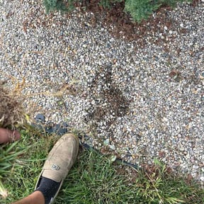 Flower Bed Weeding by Ace lawn care reviewed on August 28, 2026