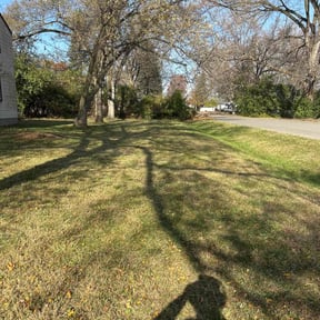 Leaf Removal by Abel Baeza reviewed on October 21, 2025