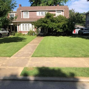 grass maintenance by RiSE Turf Care reviewed on May 10, 2024