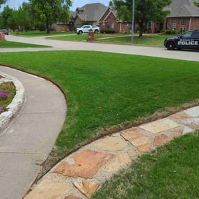 yard service by Salone Lawn & Tree Service LLC. reviewed on August 17, 2025