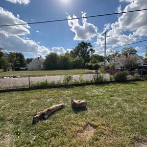 Bush Trimming by Tim&#039;s Discount Lawn reviewed on October 22, 2025