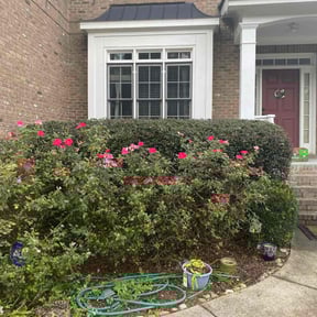 Bush Trimming by Sanders Maintenance Solutions reviewed on October 24, 2025