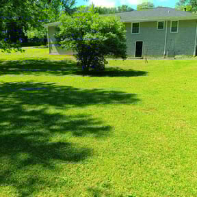 yard work by Willie's Mobile Lawn Services reviewed on December 4, 2025