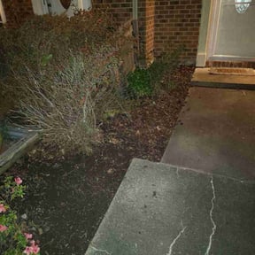 Leaf Removal by Conner Meadows reviewed on October 21, 2025