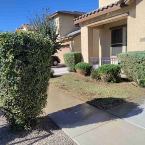 Bush Trimming by J&D lawn services reviewed on August 15, 2025
