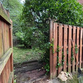 Bush Trimming by DavidH15066 reviewed on July 31, 2026