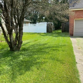 landscaping services by Swayne’s Lawncare LLC reviewed on July 30, 2025