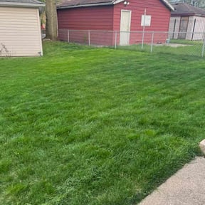 yard care by Exclusive Lawn Service reviewed on August 18, 2025