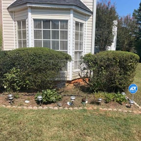 Bush Trimming by Justin Myers  reviewed on October 24, 2025