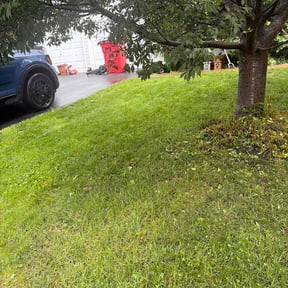 Flower Bed Weeding by Durayardservice reviewed on June 10, 2026