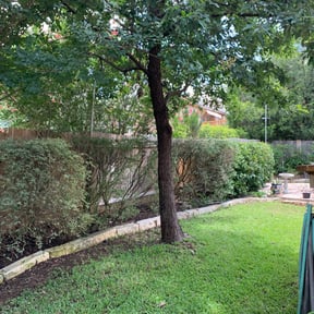 Bush Trimming by K&Z Driving Solutions reviewed on August 15, 2025