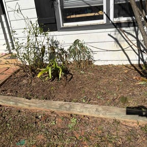 Flower Bed Weeding by TOMS - Total Outdoor Maintenance reviewed on October 19, 2025