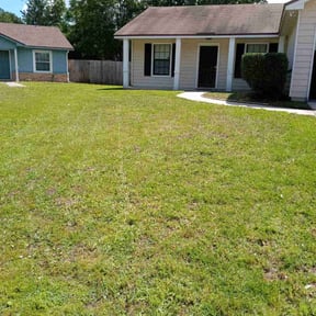 Bush Trimming by Green Rooster Lawn Care reviewed on August 17, 2025