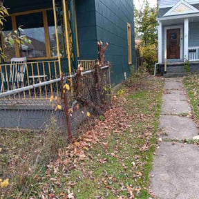 Bush Trimming by Santos Benites Landscaping LLC reviewed on August 14, 2025