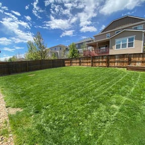 landscaping by A Happy House Design LLC reviewed on August 21, 2025