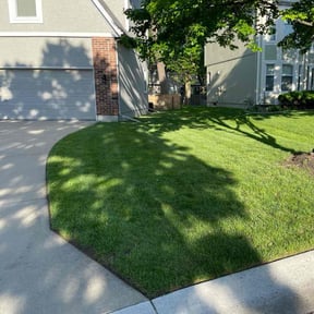 yard maintenance by Mauney Underground reviewed on August 16, 2025