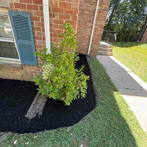 Mulching by Venerable Lawn Care LLC reviewed on June 20, 2026